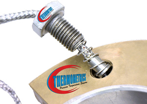 Bearing RTD, Thermocouple Sensor